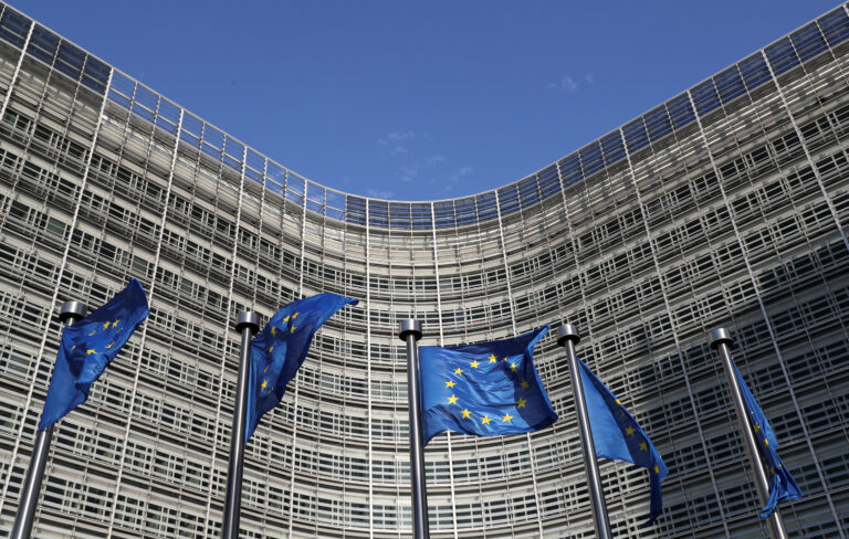 Unsprezece țări cer UE să slăbească și mai mult legea privind defrișările, arată un document