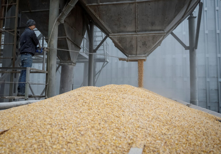 Exclusiv: Recolta de cereale a Ucrainei din 2025 ar putea scădea cu 10%, avertizează ministrul Agriculturii