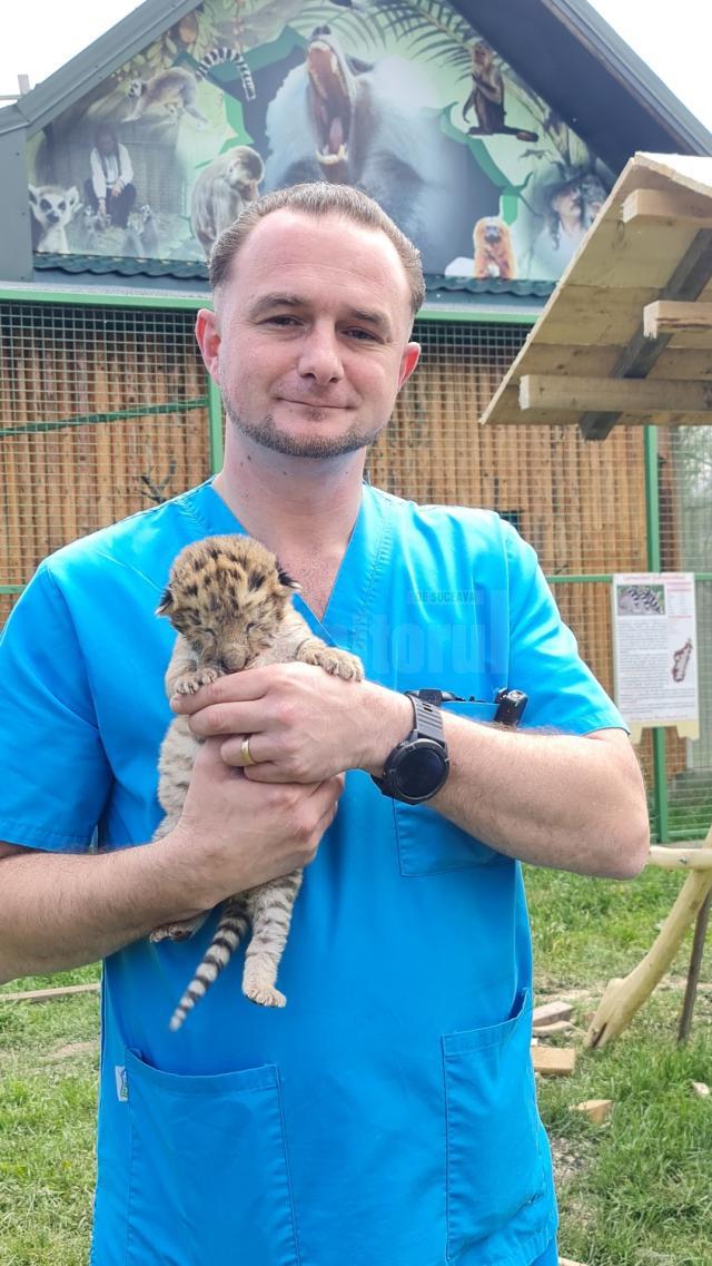 Un animal rar s-a născut în România. Sunt doar 20 de exemplare de LIGRU pe glob