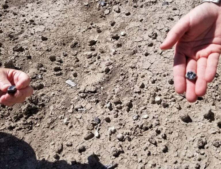 Fosile descoperite în Etiopia dezvăluie o nouă specie din linia evolutivă umană
