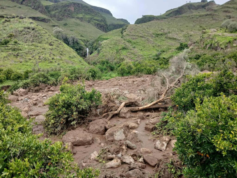 Apel disperat de ajutor după ce o alunecare de teren a distrus un sat din Sudan, ucigând 1.000 de persoane
