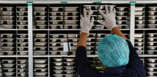 Indonezia, sub presiune să oprească programul de 10 miliarde de dolari pentru mese gratuite în școli după o intoxicație alimentară în masă