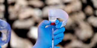 OMS confirmă 11 noi cazuri de Ebola în Congo