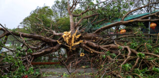 Opt morți și 17 dispăruți după ce taifunul Bualoi a lovit Vietnamul