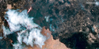 Incendii de vegetație devastează o treime din cel mai mare parc național al Namibiei