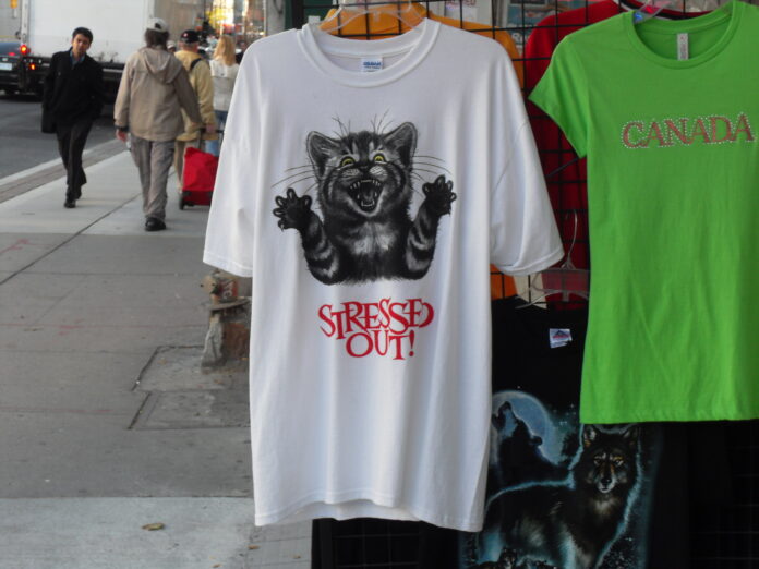 100_sfaturi_027