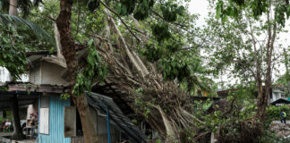 Ploi torențiale și furtuni devastatoare în Thailanda: 12 morți și 16 provincii sub ape