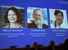 Premiul Nobel pentru Medicină 2025, acordat cercetătorilor care au descifrat precizia sistemului imunitar