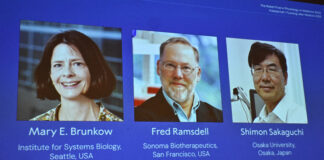 Premiul Nobel pentru Medicină 2025, acordat cercetătorilor care au descifrat precizia sistemului imunitar