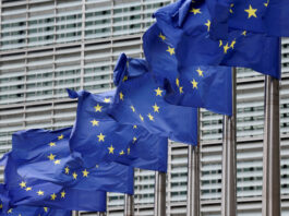 Ce se schimbă la locul de muncă: angajații vor putea raporta confidențial violența și hărțuirea