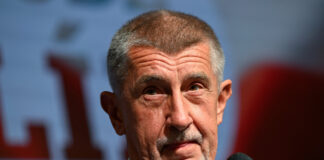 Andrej Babis a discutat cu Zelenskiy după alegerile din Cehia: viitorul sprijinului pentru Ucraina în discuție