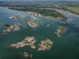 Brazilia dinamitează un afluent al Amazonului pentru transportul cerealelor, pe măsură ce frontiera soiei se extinde