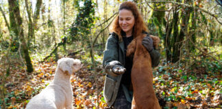 Vânătorii de trufe din Croația în căutarea uneia dintre cele mai scumpe delicatese din lume