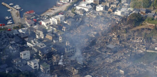 Cel mai mare incendiu din Japonia din ultimele 50 de ani devastează 170 de clădiri și provoacă un deces