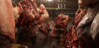 Trump semnează ordinul de eliminare a tarifelor pentru carnea de vită și cafeaua din Brazilia