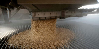 Trei nave americane se îndreaptă spre Coasta Golfului pentru a încărca soia și sorg destinate Chinei