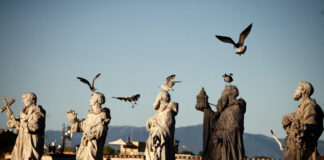 Vaticanul anunță primul excedent bugetar după ani de deficit: donații mai mari și câștiguri din investiții