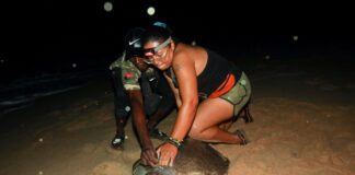 Din vânători în protectori: Sătenii din Angola ajută la salvarea țestoaselor de mare pe cale de dispariție