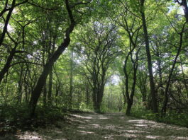 Sfaturi de Dezvoltare Personală – Episodul 33