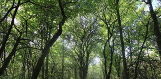 Sfaturi de Dezvoltare Personală – Episodul 33