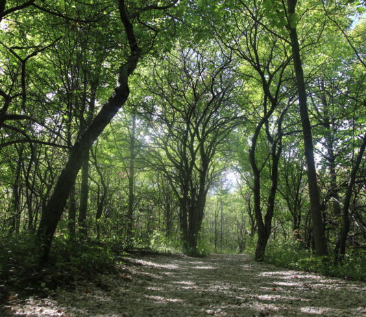 Sfaturi de Dezvoltare Personală – Episodul 33