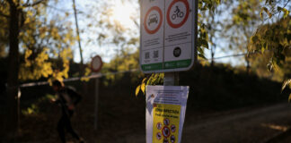 Veterinarii UE în epidemii încep ancheta asupra focarului de pesta porcină din Barcelona