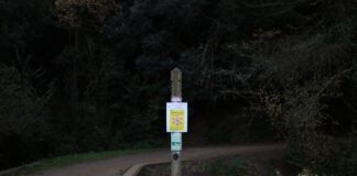 Spania pregătește un plan de reducere a populației de mistreți după apariția pestei porcine