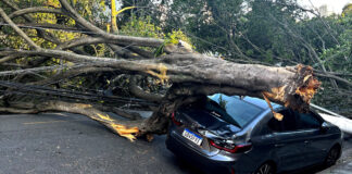 Furtuni violente devastează São Paulo: milioane de oameni rămân fără curent, apă și zboruri anulate