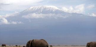 Accident de elicopter pe Muntele Kilimanjaro: cinci persoane au murit, anunță autoritatea aeronautică din Tanzania