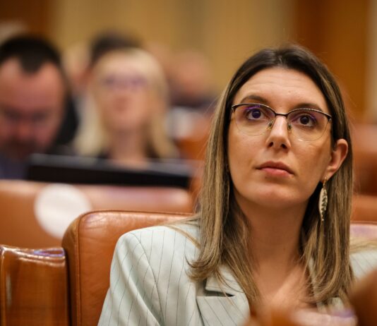 Moțiune de cenzură în Parlament: Buzoianu afirmă că „românii plătesc 2,2 miliarde de euro pentru acest circ politic” Sursa: Facebook, Diana Buzoianu