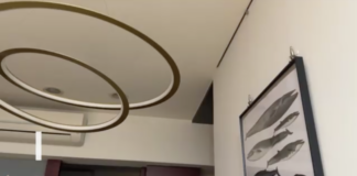 Cutremur cu magnitudinea 7,0 în Taiwan: nu au fost raportate pagube majore (VIDEO)