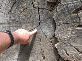 Sfaturi de Dezvoltare Personală – Episodul 35