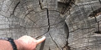 Sfaturi de Dezvoltare Personală – Episodul 35