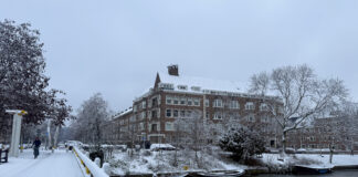 Traficul feroviar din Olanda, complet suspendat din cauza ninsorilor și gheții