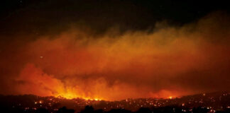 Rămășițe umane descoperite în urma incendiilor de vegetație din Australia, anunță poliția