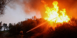 Temperaturi record: 2025, al treilea cel mai cald an la nivel mondial