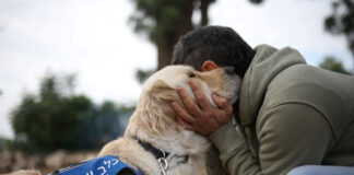 Israelul înregistrează o creștere a cazurilor de PTSD și a sinuciderilor în rândul militarilor pe fondul războiului prelungit