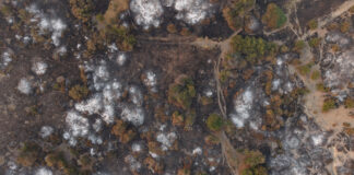 Incendiile de vegetație din Patagonia provoacă critici dure față de tăierile bugetare impuse de Milei