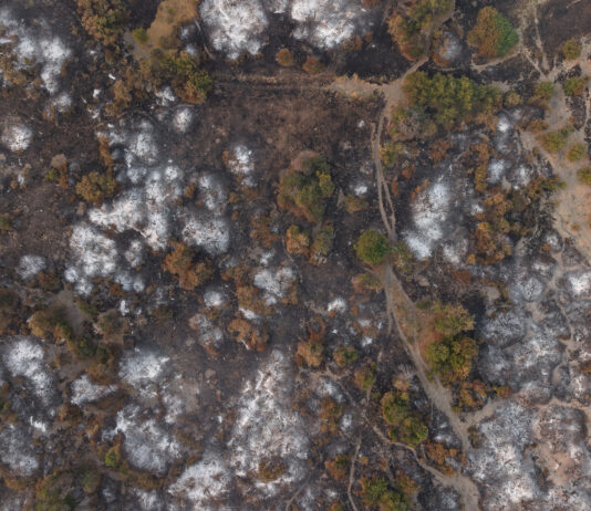 Incendiile de vegetație din Patagonia provoacă critici dure față de tăierile bugetare impuse de Milei