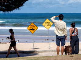 Un băiat de 12 ani a fost ucis de un rechin în Portul Sydney