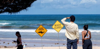 Un băiat de 12 ani a fost ucis de un rechin în Portul Sydney