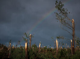 Dezastru în centrul Portugaliei: furtuna Kristin provoacă daune de peste 2 miliarde de euro