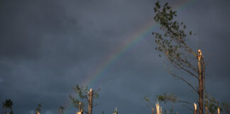 Dezastru în centrul Portugaliei: furtuna Kristin provoacă daune de peste 2 miliarde de euro