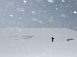 Soldați și utilaje de deszăpezire în Japonia luptă cu furtuni de iarnă periculoase