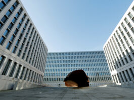 Germania vrea să ofere mai multe puteri serviciilor secrete pentru a combate noile amenințări