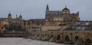 Fermierii raportează pagube catastrofale la culturi după ce furtuna Marta lovește Spania și Portugalia