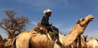 Nomazii sudanezi, prinși în capcana războiului: banditismul și tensiunile etnice se intensifică