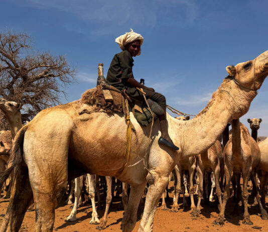 Nomazii sudanezi, prinși în capcana războiului: banditismul și tensiunile etnice se intensifică