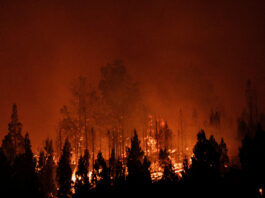 Căldură record și incendii devastatoare marchează începutul anului 2026 în emisfera sudică