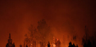 Căldură record și incendii devastatoare marchează începutul anului 2026 în emisfera sudică